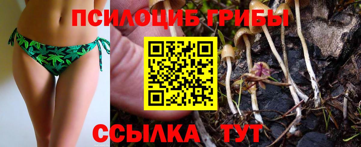 Елец  как найти   Галлюциногенные грибы мухоморы  Вход с VPN  Псилоцибиновые грибы мицелий 